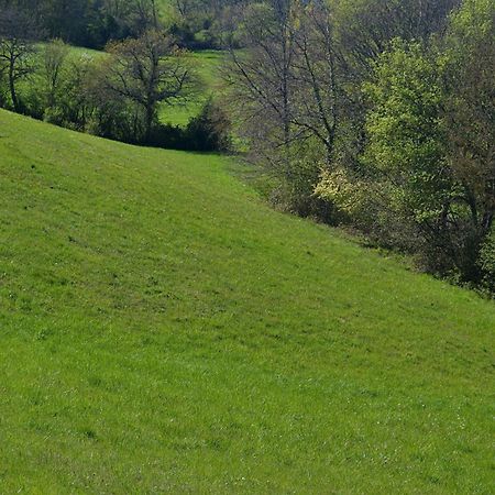 Saint-Paul-de-Baise Chambre D'Hote Au Domaine Terre De Chenes מראה חיצוני תמונה