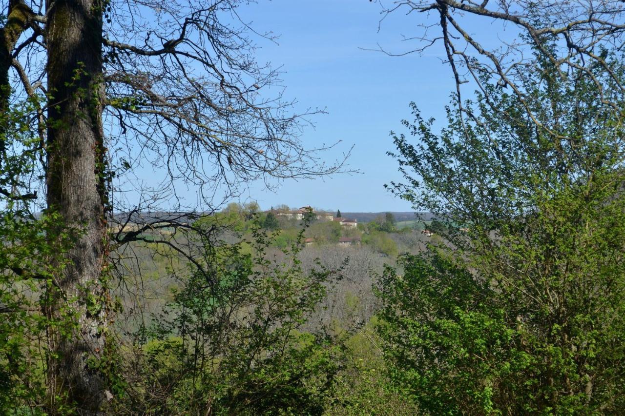 Saint-Paul-de-Baise Chambre D'Hote Au Domaine Terre De Chenes מראה חיצוני תמונה