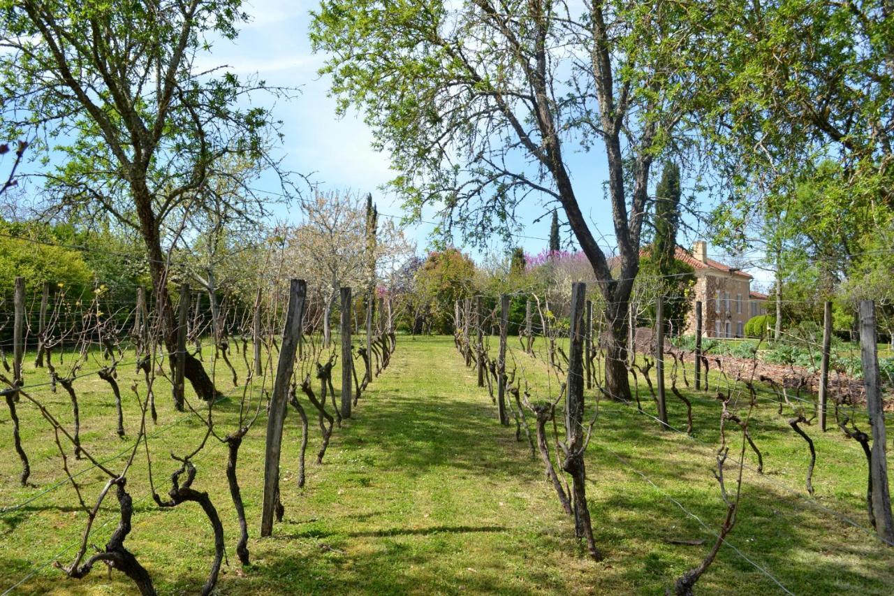 Saint-Paul-de-Baise Chambre D'Hote Au Domaine Terre De Chenes מראה חיצוני תמונה