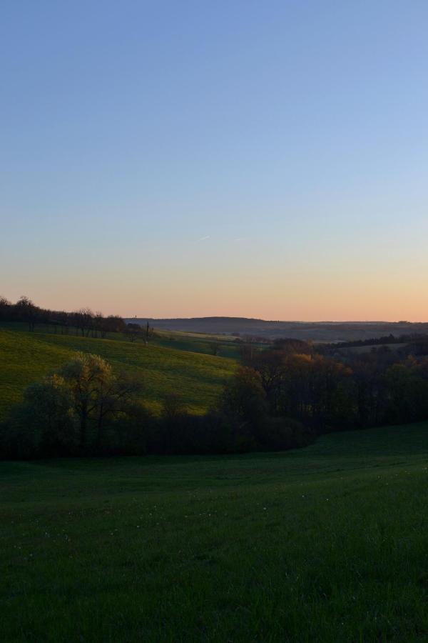 Saint-Paul-de-Baise Chambre D'Hote Au Domaine Terre De Chenes מראה חיצוני תמונה