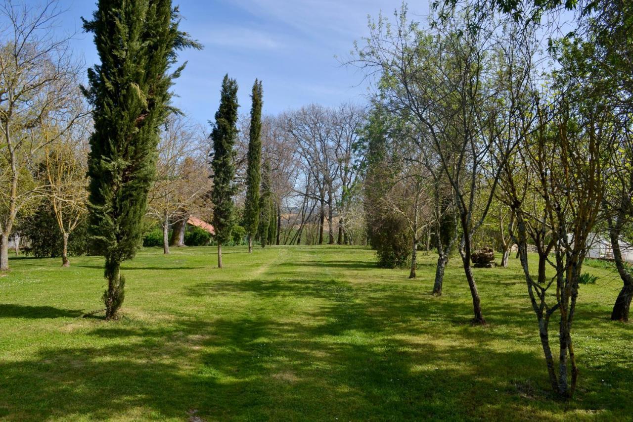 Saint-Paul-de-Baise Chambre D'Hote Au Domaine Terre De Chenes מראה חיצוני תמונה