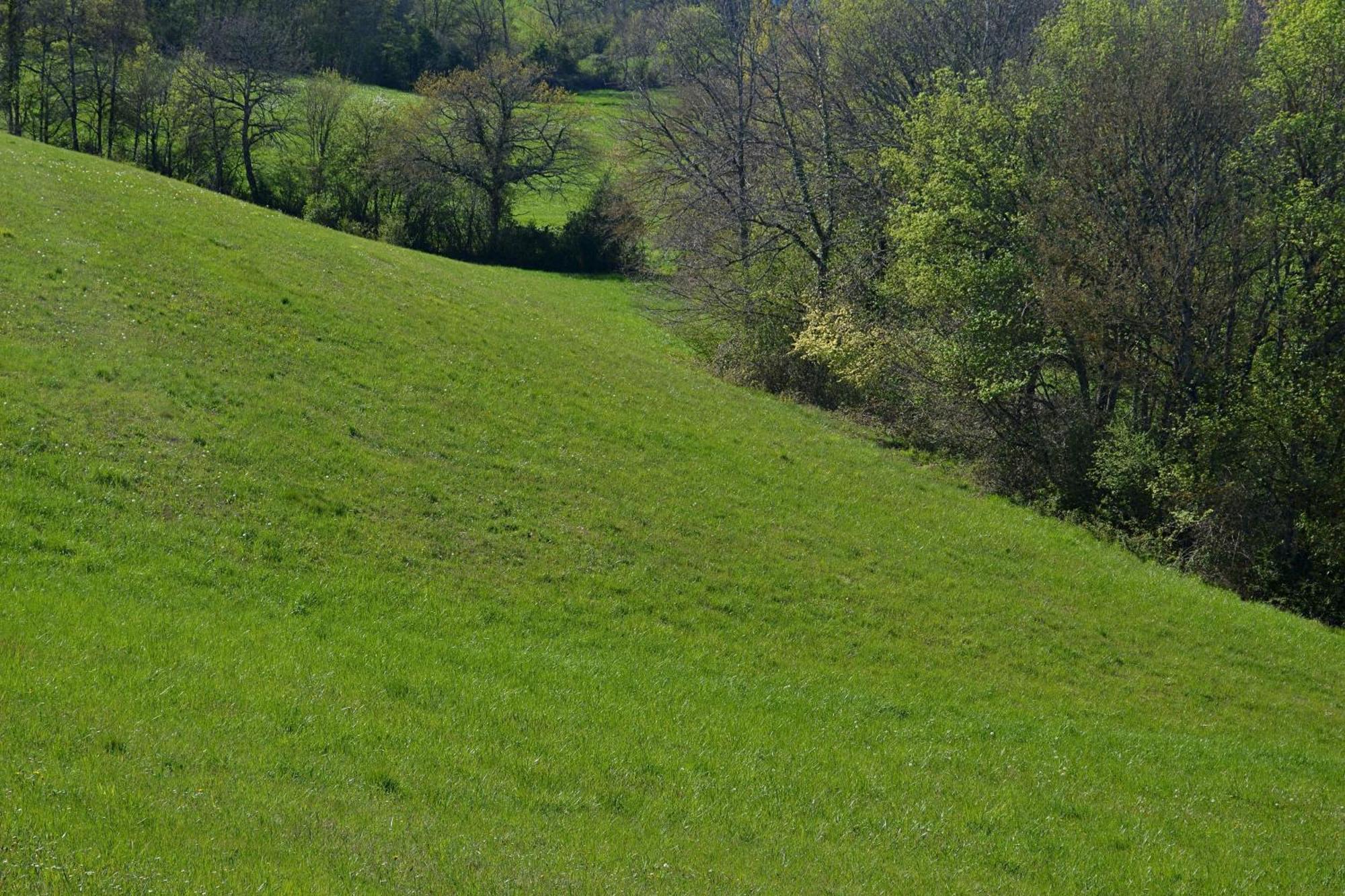 Saint-Paul-de-Baise Chambre D'Hote Au Domaine Terre De Chenes מראה חיצוני תמונה