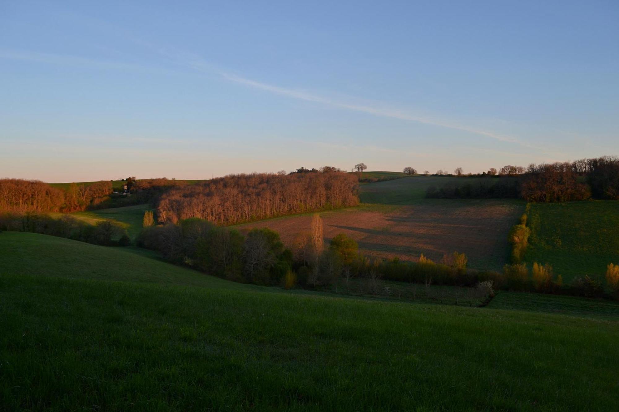 Saint-Paul-de-Baise Chambre D'Hote Au Domaine Terre De Chenes מראה חיצוני תמונה
